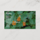 Search for herb photography Nature
