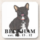Search for bulldog coasters Frenchie