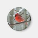 Search for cheery magnets Red