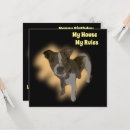 Search for fox terrier cards Pet
