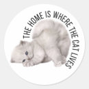 Search for funny decal stickers Waterproof