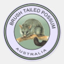 Search for cute possum stickers Australian