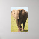Search for game park art Loxodonta africana