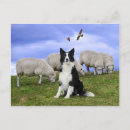 Search for duty postcards Dog