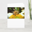 Search for pollinators cards Flower