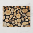 Search for logs postcards Photography