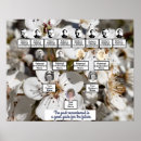 Search for pear tree poster posters White