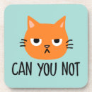 Search for angry barware Funny cat