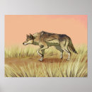 Search for wild wolves posters Nature