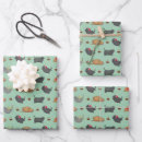 Search for fat cat wrapping paper Pet