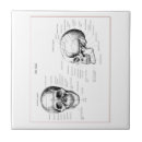 Search for humanity tiles Human anatomy