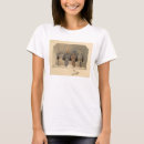 Search for sanctuary tshirts North