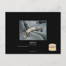Search for spine postcards I can has cheezburger