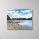Search for dam art Stream