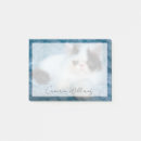 Search for purebred cards invites Cat