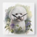 Search for bichon frise art White