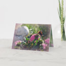 Search for red admiral butterfly Flowers