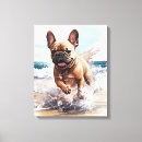 Search for french bulldog canvas prints Frenchie