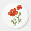 Search for exclusive magnets Elegant