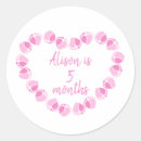 Search for milestones stickers Baby girl