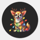 Search for dog winter stickers Birthday