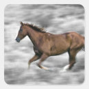 Search for activism square stickers Animal