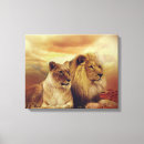 Search for african lion canvas prints Wildlife