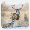 Search for doe stickers Winter