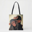 Search for chimpanzees bags Animal wildlife