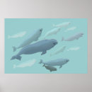 Search for beluga whale posters Blue