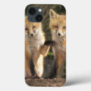 Search for vulpes cases Den
