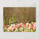 Search for tulip tree postcards Yellow