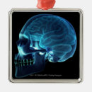 Search for brain christmas tree decorations Human