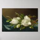 Search for velvet posters Flowers