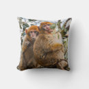 Search for zoo animal cushions Fun