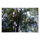 Search for elves posters Green