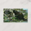 Search for beavers business cards Illustration