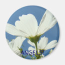 Search for white angel magnets Angels