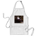 Search for bald aprons Wildlife