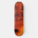 Search for element skateboards Most popular