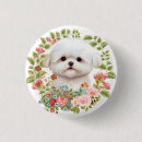 Search for malteser badges Maltese lover