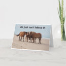 Search for filly cards Photography