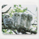 Search for camera standard mouse mats Focus