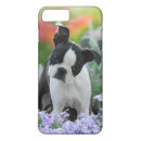 Search for boston terrier dog iphone cases Puppy