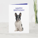 Search for dog lover cards Pet owner