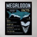 Search for megalodon art Lake