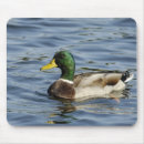 Search for drake mouse mats Nature