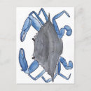 Search for blue crab postcards Ocean