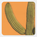 Search for cabo stickers North america