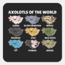 Search for newts stickers Amphibian